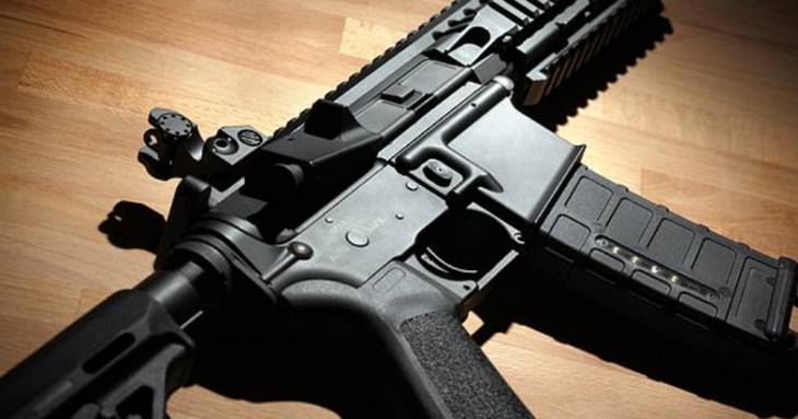 Беременная мать ликвидировала грабителя ворвавшегося в дом